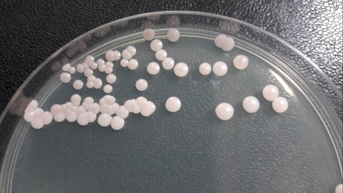 gallery/431-1641-1-sp